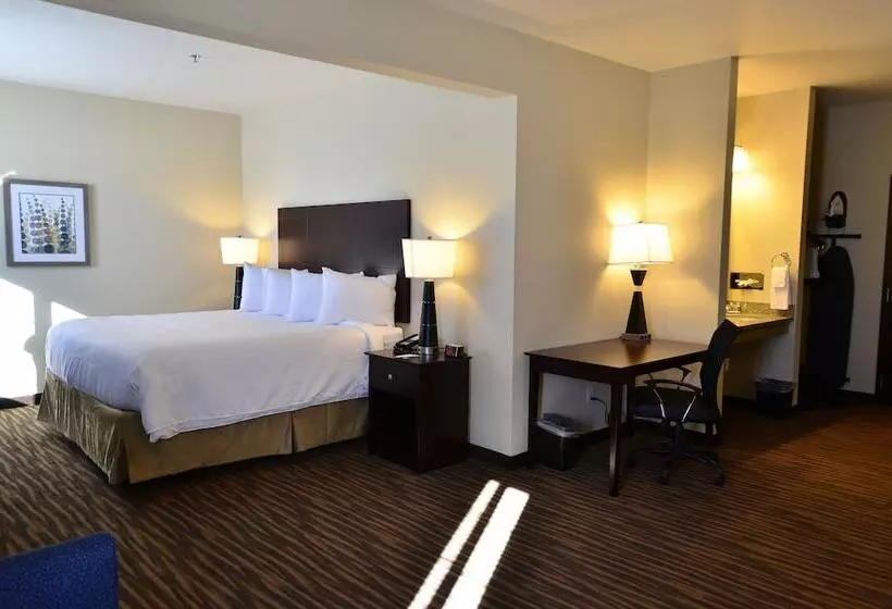 호텔 Cobblestone Inn & Suites  Holstein