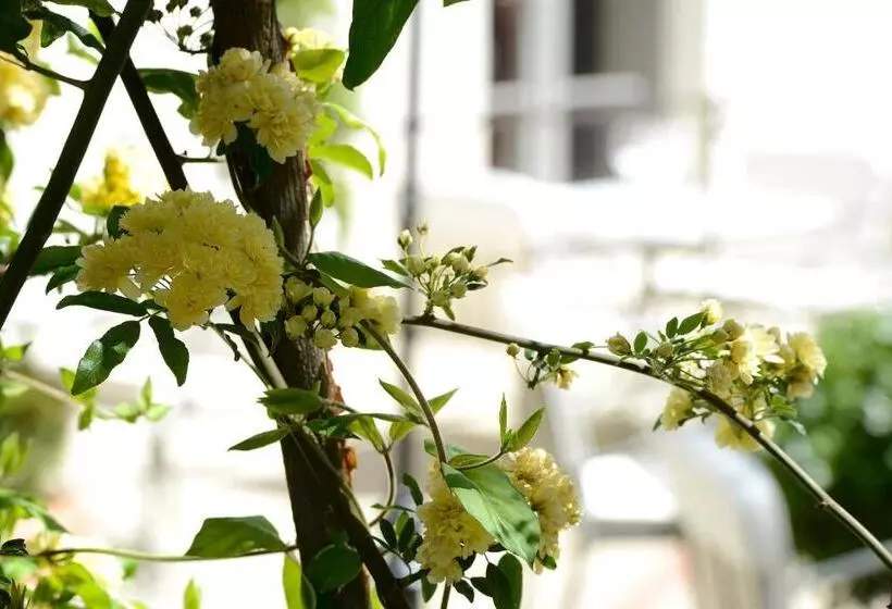 هتل Grand Hôtel Henri Teritoria