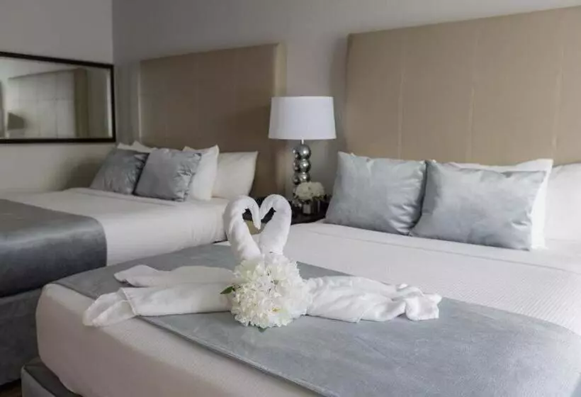 酒店 Magic Moment Resort And Kids Club