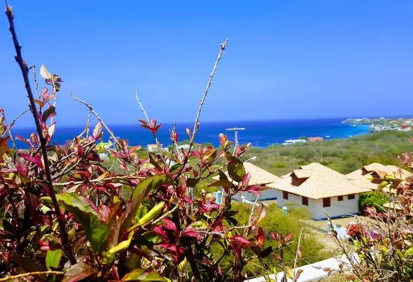 Punta West Bed & Breakfast