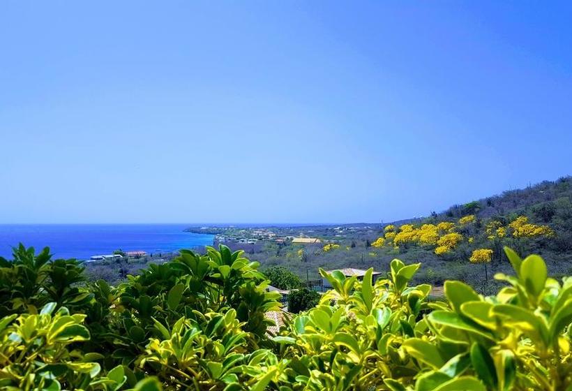 Punta West Bed & Breakfast