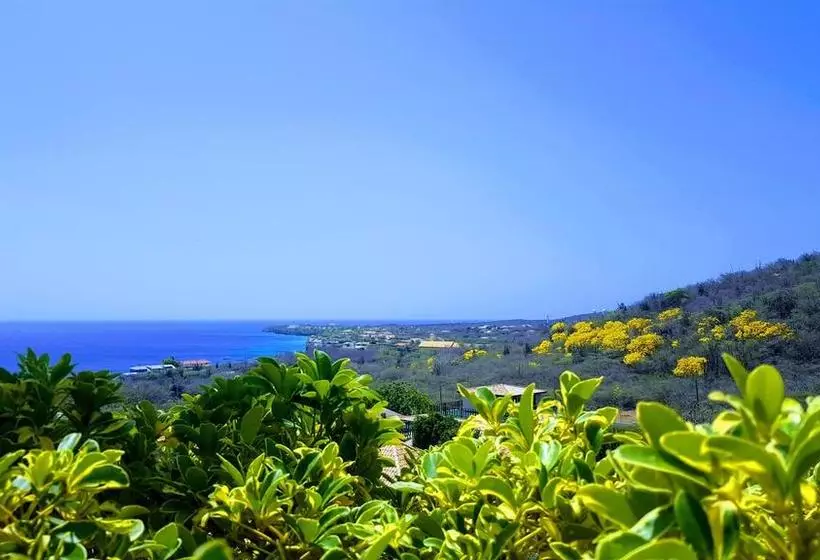 Punta West Bed & Breakfast