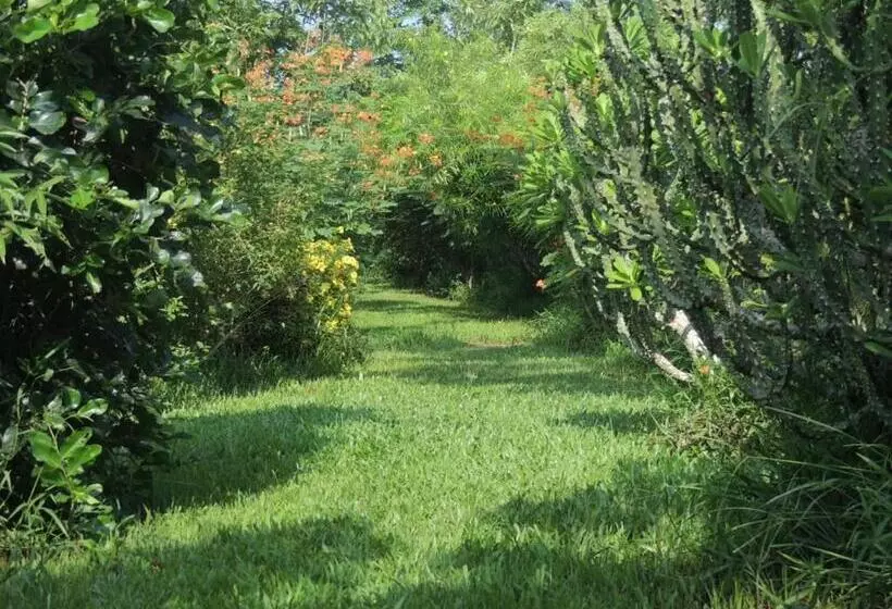 ペンション Maylyn Guesthouse