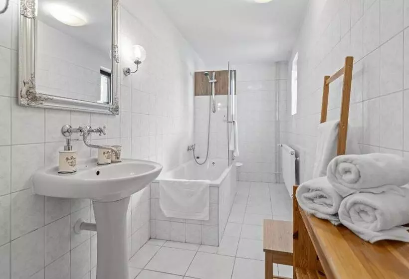 Pension A Restaurace Regina