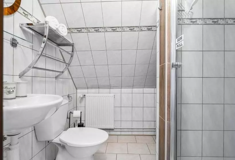 Pension A Restaurace Regina