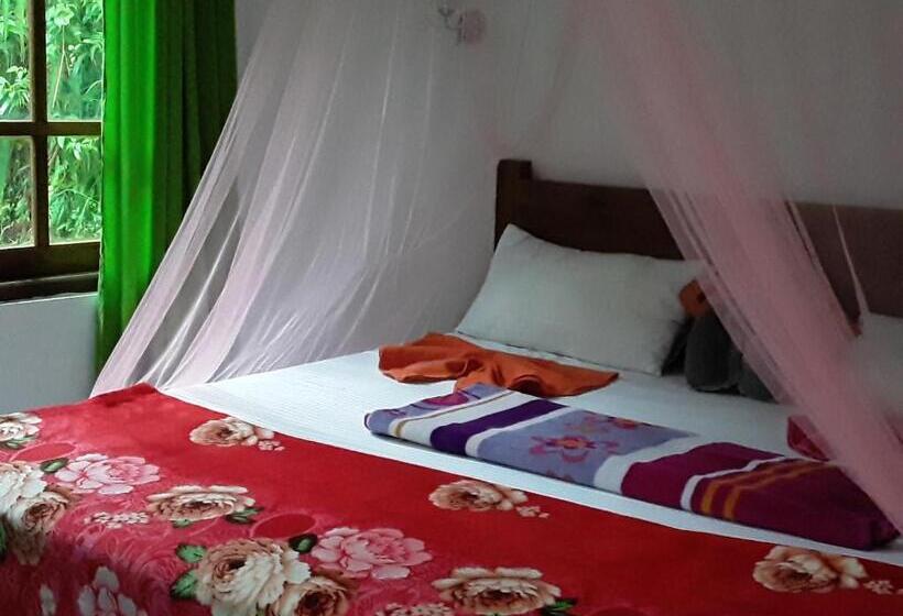 تختخواب و صبحانه Nine Arch Araliya Homestay