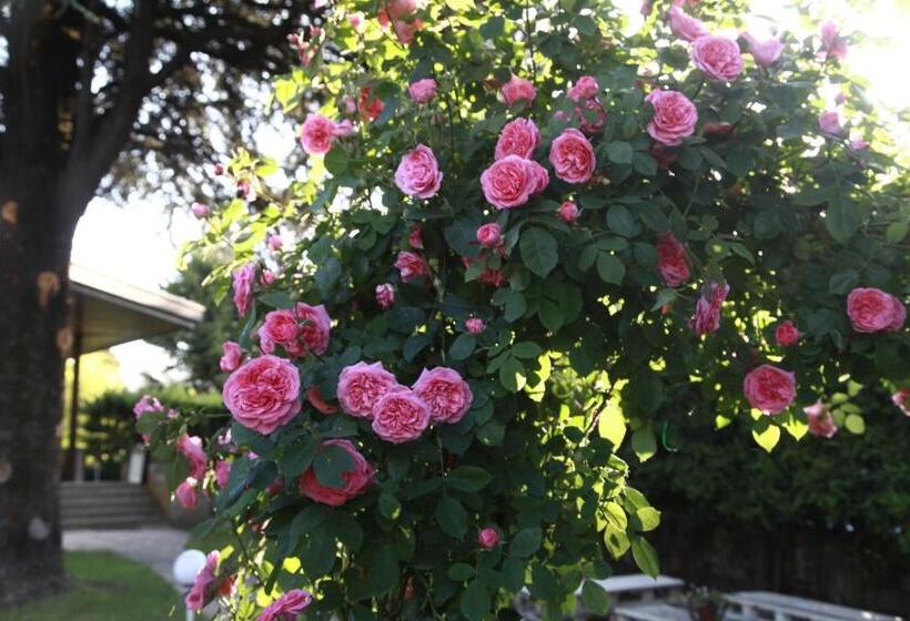 Acquachiara Iseo Deluxe Bed & Breakfast Iseo Center With Garden And Parking Inside