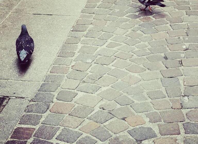 Acquachiara Iseo Deluxe Bed & Breakfast Iseo Center With Garden And Parking Inside