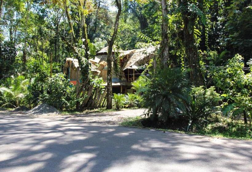 تختخواب و صبحانه Se Ua