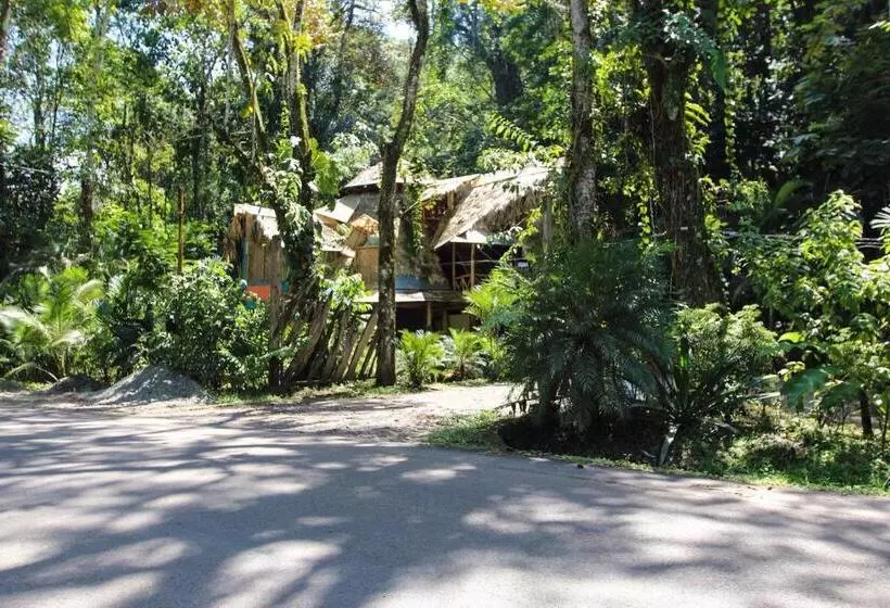 تختخواب و صبحانه Se Ua