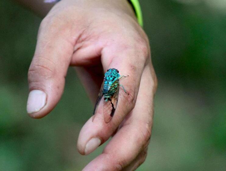 تختخواب و صبحانه Se Ua