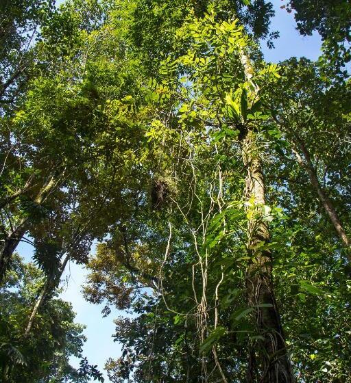 تختخواب و صبحانه Se Ua