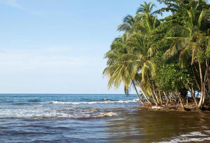 تختخواب و صبحانه Se Ua