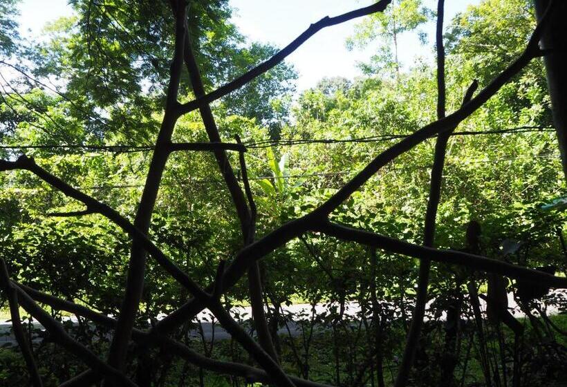 تختخواب و صبحانه Se Ua