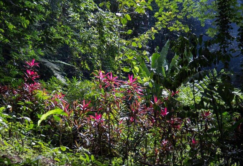 تختخواب و صبحانه Se Ua