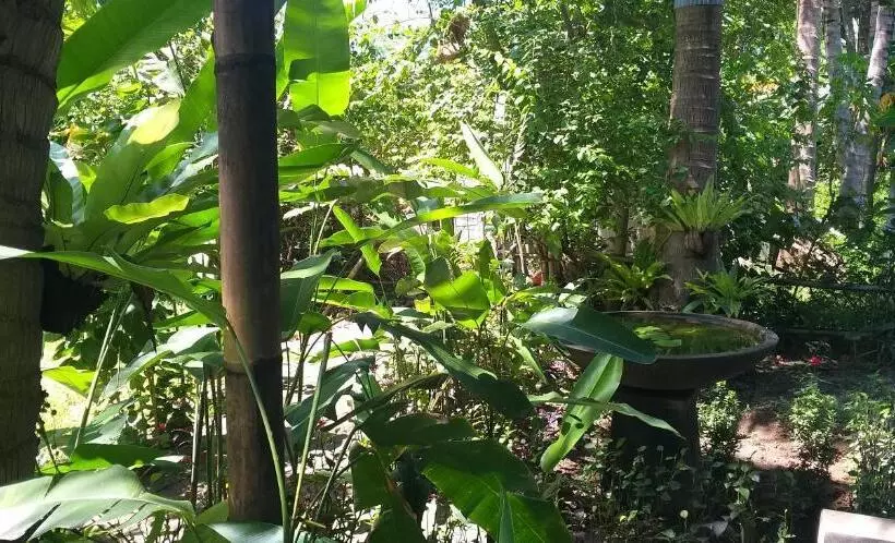 ペンション Amed View Guesthouse