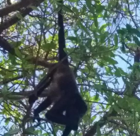 Bed and Breakfast Casa Blanca