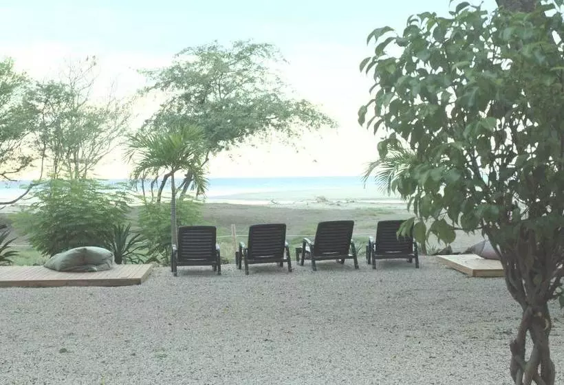 Bed and Breakfast Casa Blanca