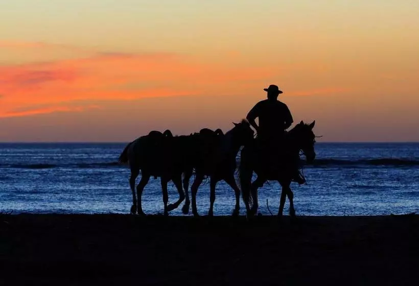 Bed and Breakfast Casa Blanca