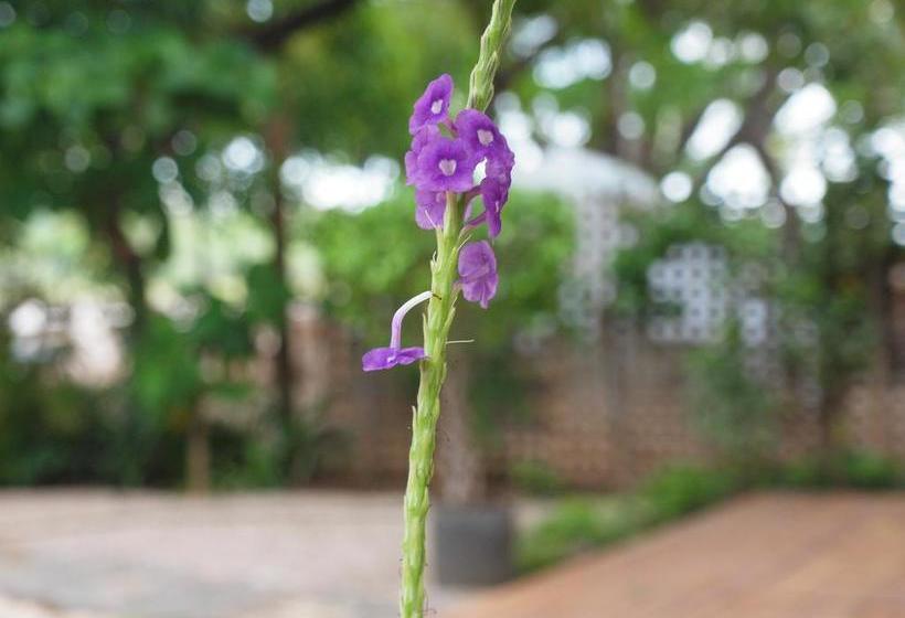 مبيت وإفطار Casa Blanca