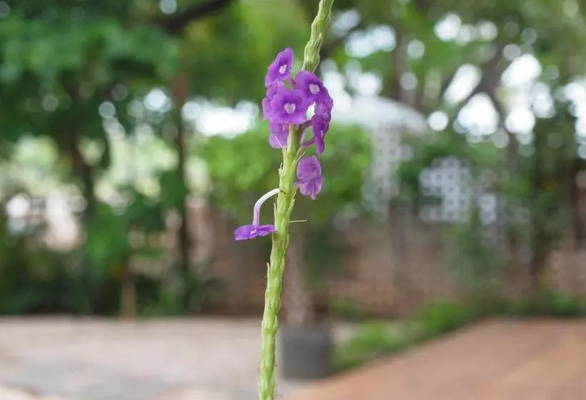 Bed and Breakfast Casa Blanca