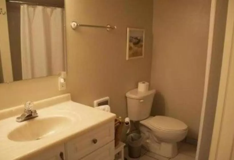 ベッドアンドブレックファースト Pine Tree Inn