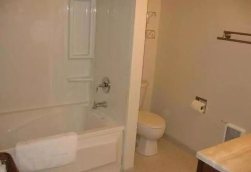 ベッドアンドブレックファースト Pine Tree Inn