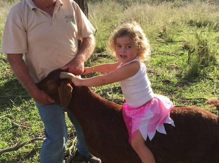 住宿加早餐 Rangemore Estate