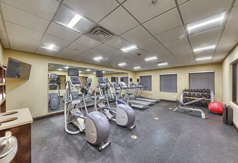 Отель Holiday Inn Express & Suites Carrizo Springs By Ihg