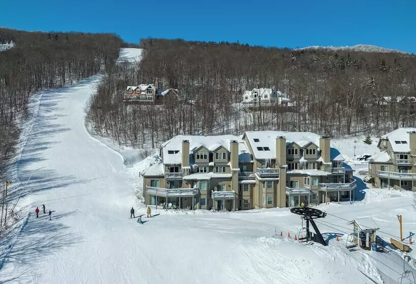 Отель Okemo Mountain Condo