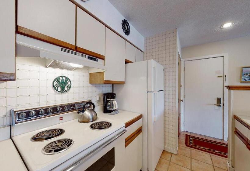 فندق Okemo Mountain Condo