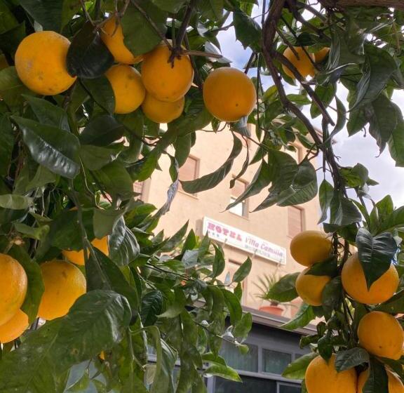 酒店 Villa Camilla