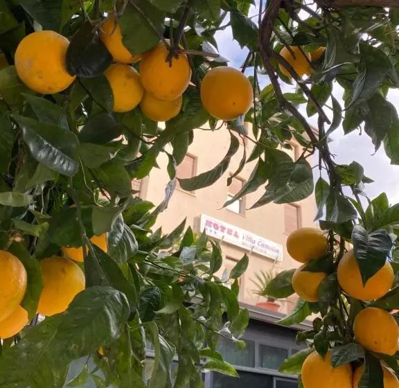 酒店 Villa Camilla