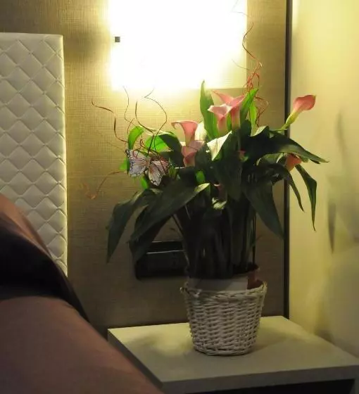 酒店 Villa Camilla