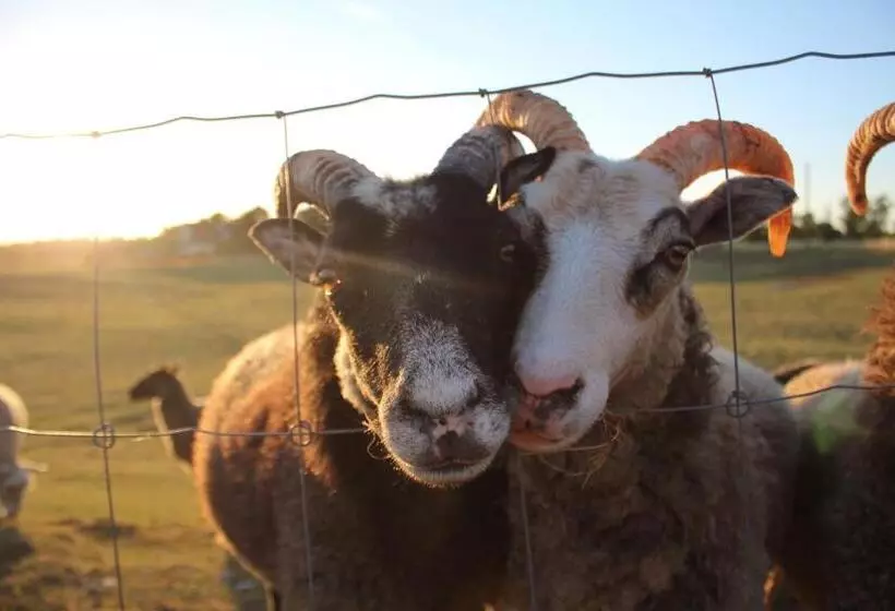 Stf Hostel Ihre Gård