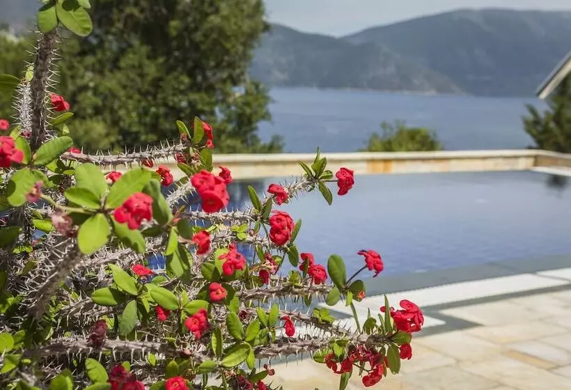 Faros Residence - Adults Only