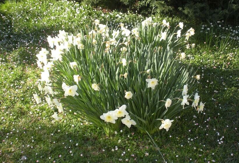 בית מלון כפרי Agriturismo Le Rose