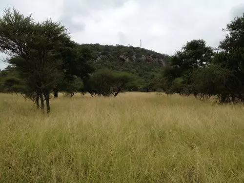 ホテル Buyskop Lodge