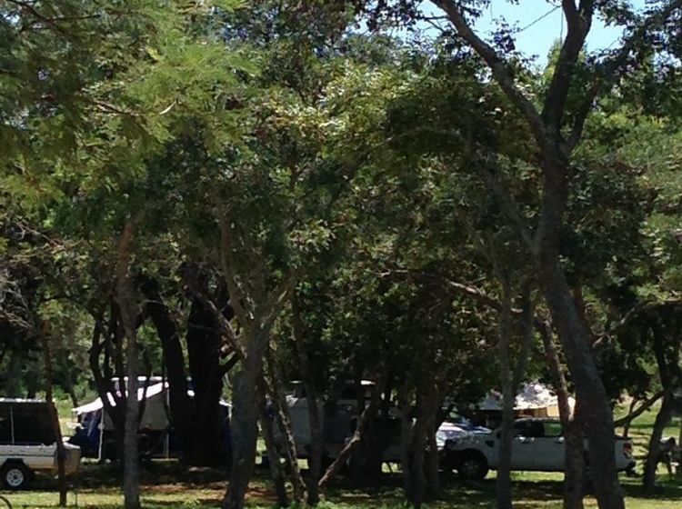 فندق Buyskop Lodge