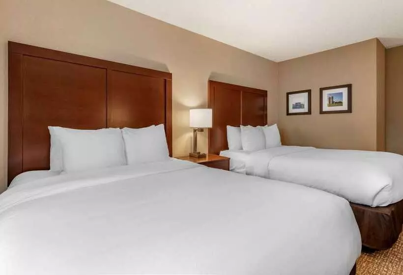 ホテル Comfort Inn Pa Turnpike  I81