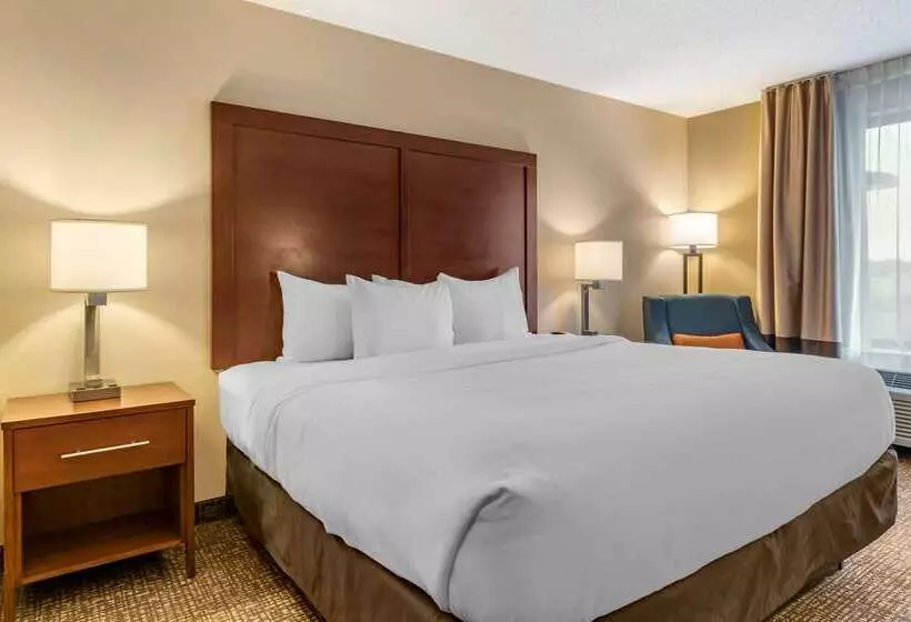 ホテル Comfort Inn Pa Turnpike  I81