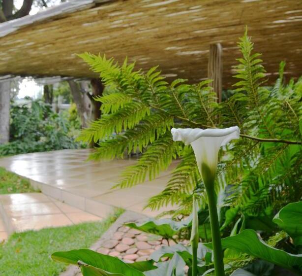 Отель Highveld Splendour Boutique Bed And Breakfast