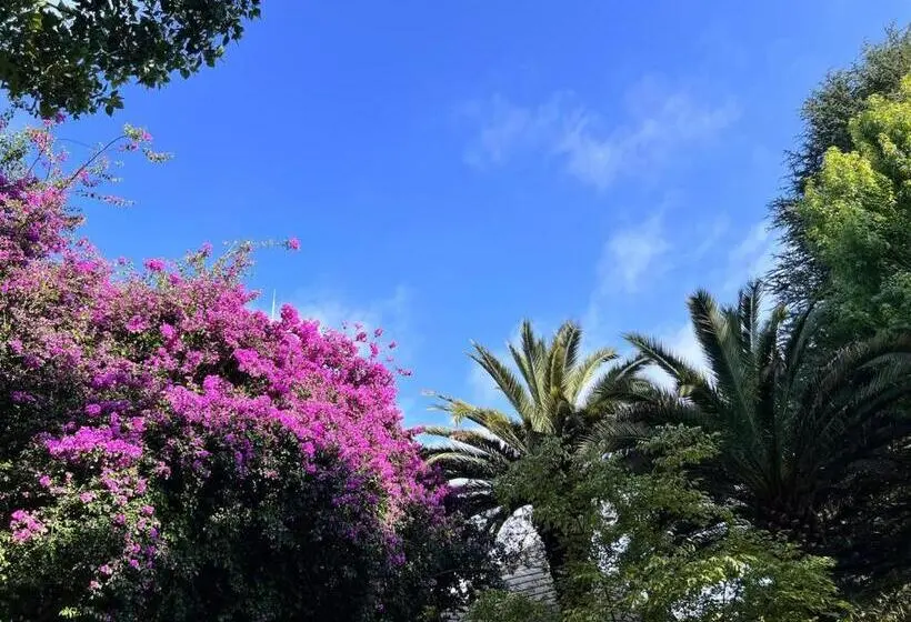 ホテル Highveld Splendour Boutique Bed And Breakfast
