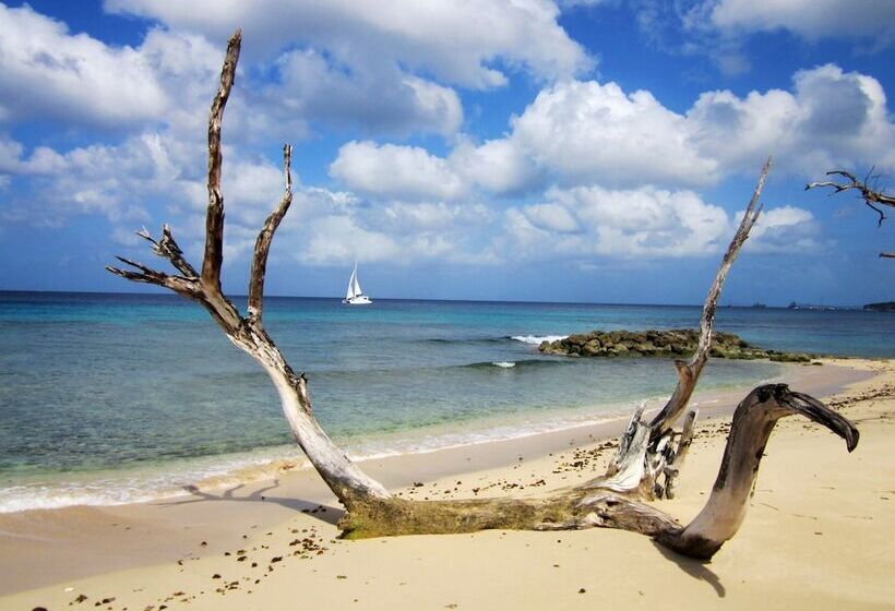 هتل Melrose Beach Apartments