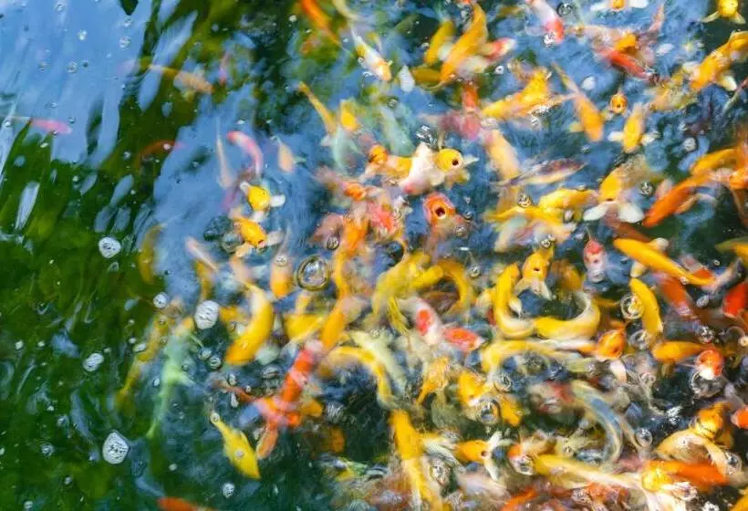 Hotelli Nature Line Resort