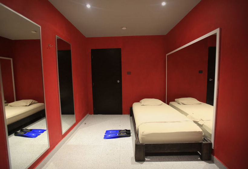 2tank Dive Hostel Cozumel