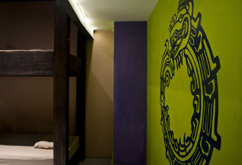 2tank Dive Hostel Cozumel