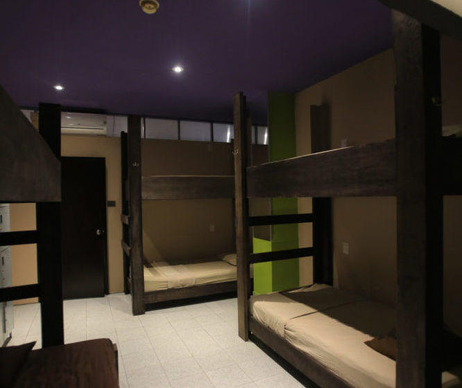 2tank Dive Hostel Cozumel