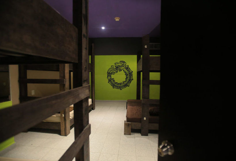 2tank Dive Hostel Cozumel