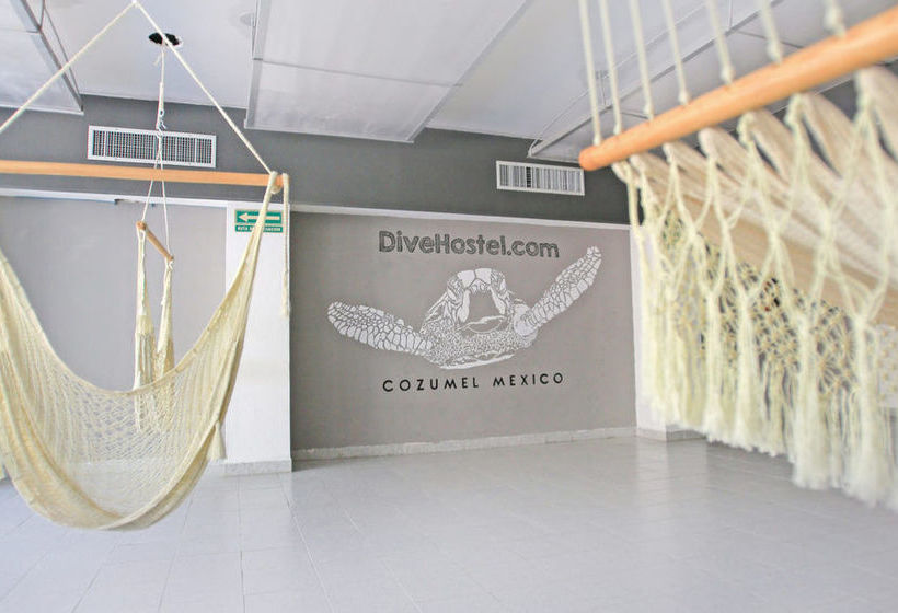 2tank Dive Hostel Cozumel